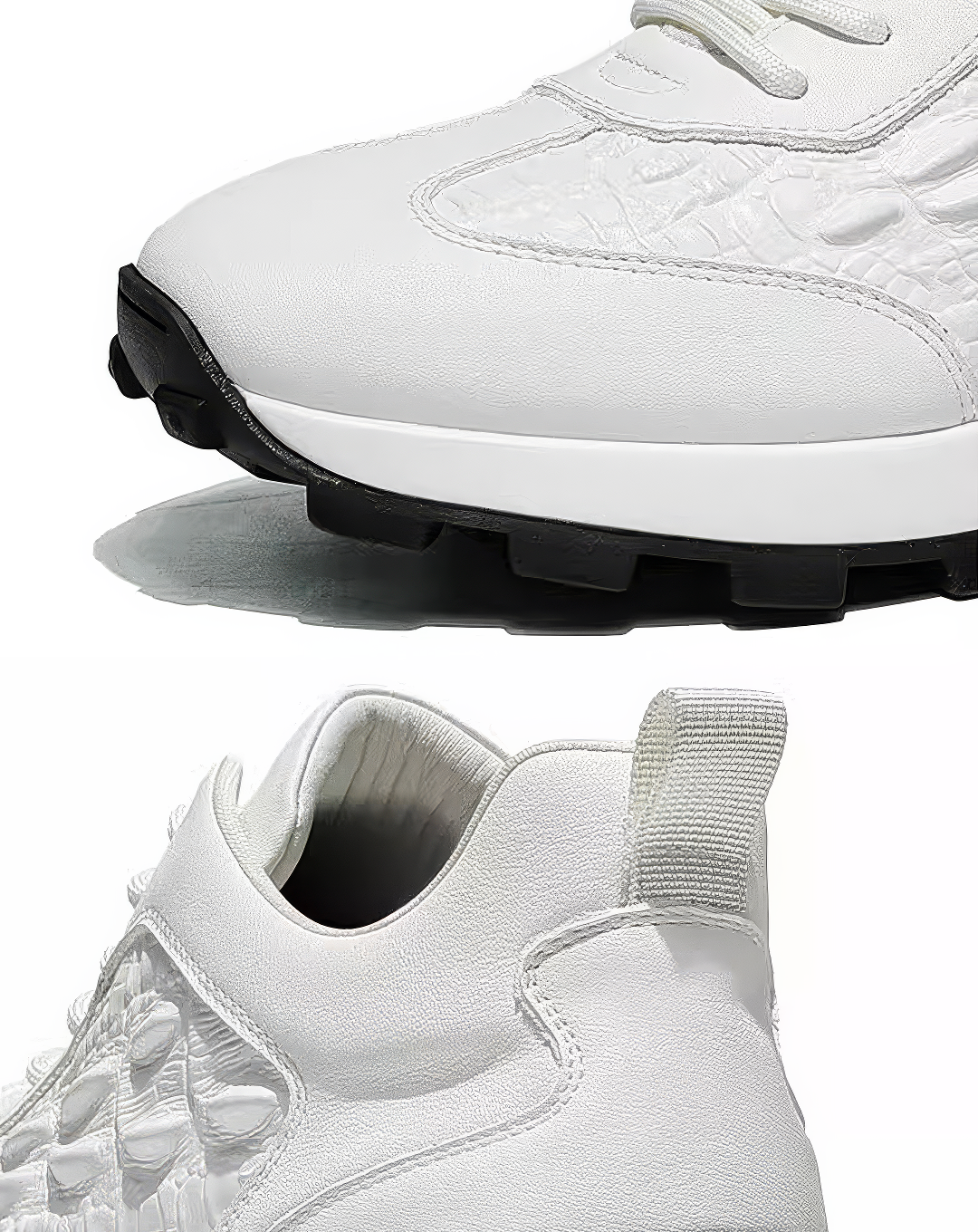 ♂♀本革／Exotic Leather Sneaker