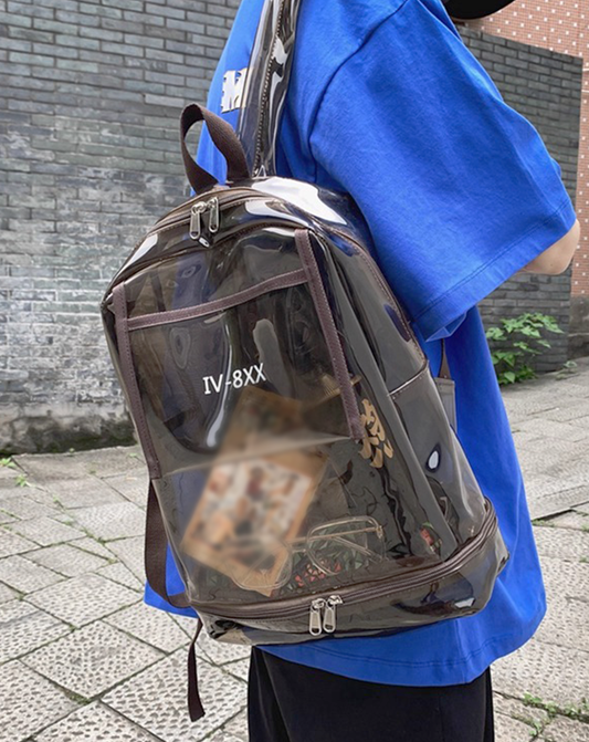 Clear Transparent Backpack