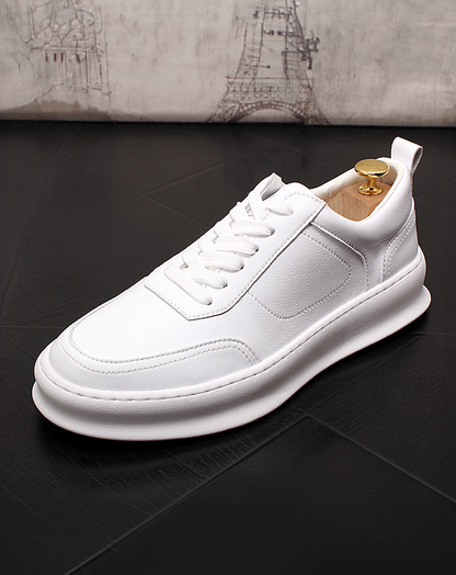 ♂♀White Low-Cut Sneakers