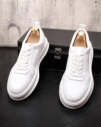 ♂♀White Low-Cut Sneakers